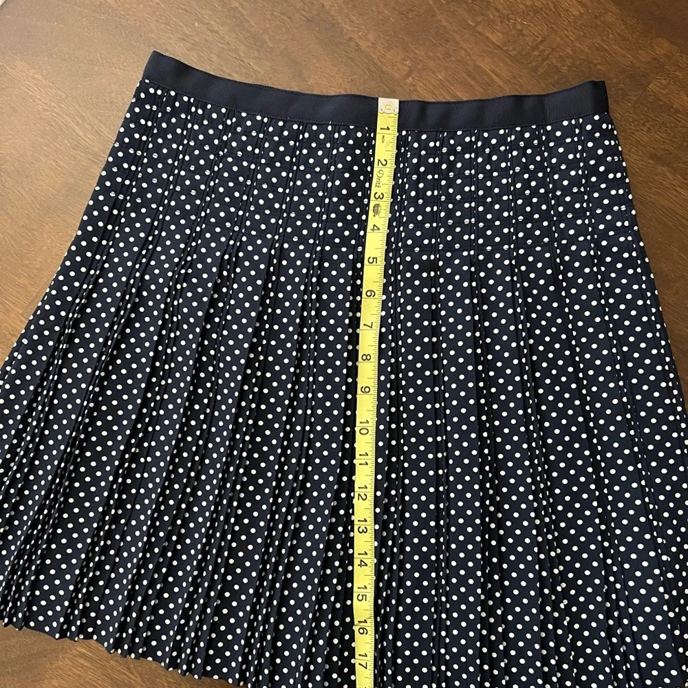 Excellent used J Crew polka dot skirt size 2 (SOLD) - Picture 3 of 9
